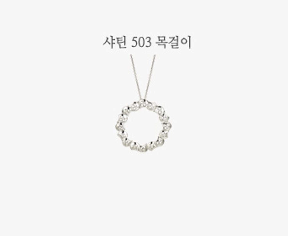 샤틴503N-1.jpg