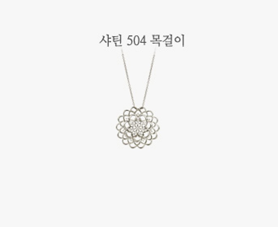 샤틴504N-1(0).jpg