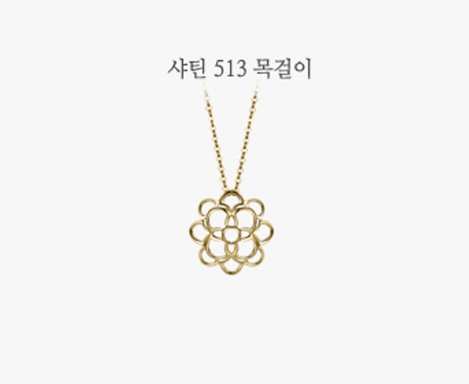 샤틴513N-1(0).jpg