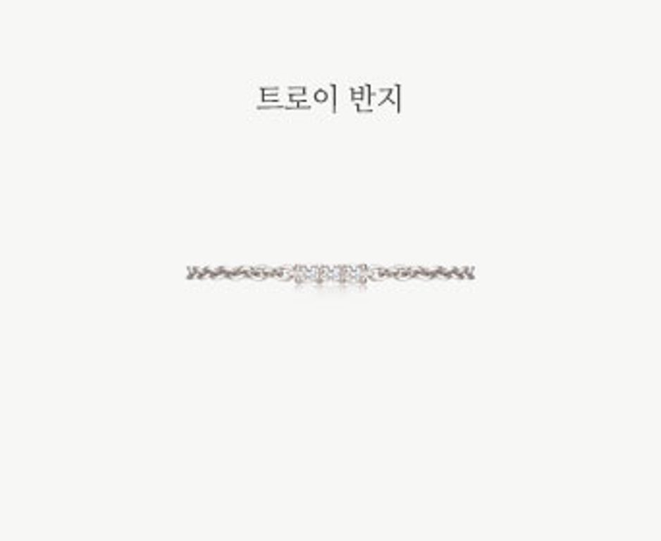 트로이R-기본.jpg